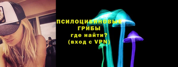 соль ск Верея